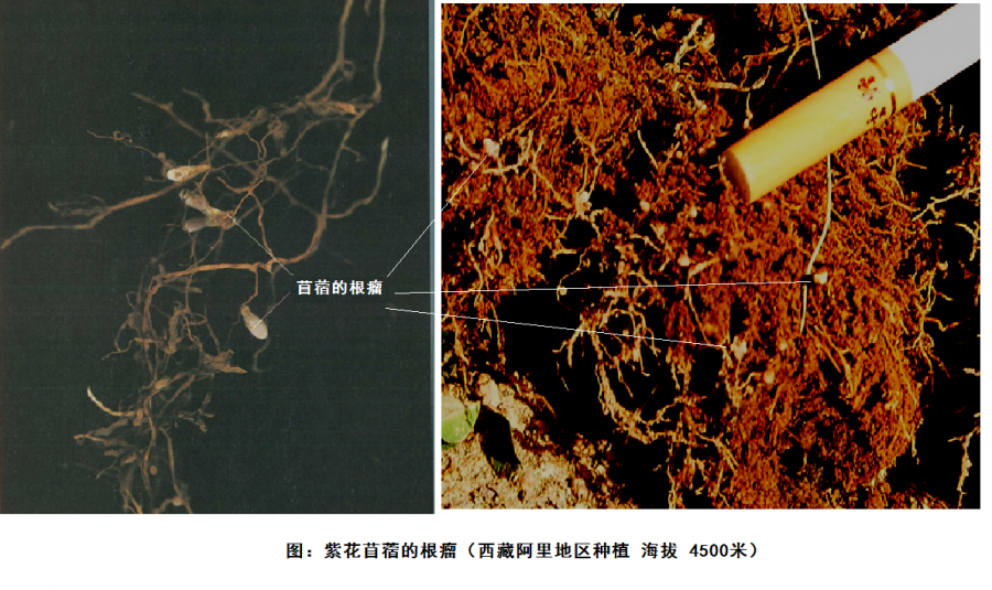 智博足球官网入口1919